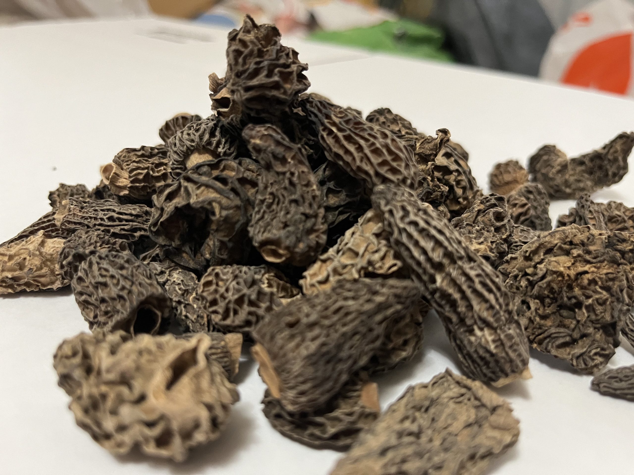 Morilles s&eacute;ch&eacute;es, chapeaux alv&eacute;ol&eacute;s