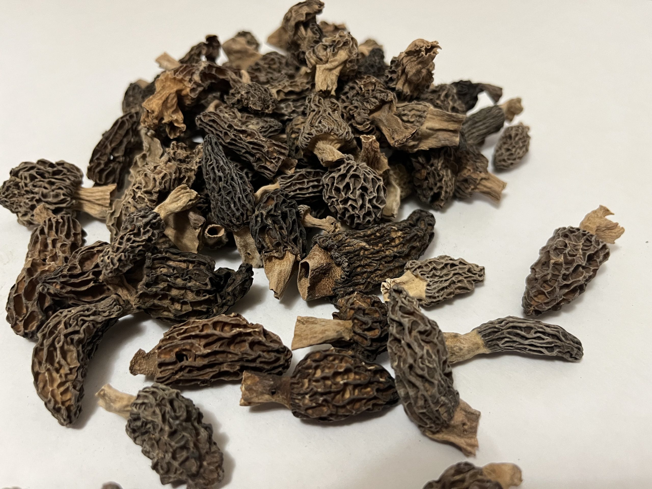 Morilles séchées triées, sans tige