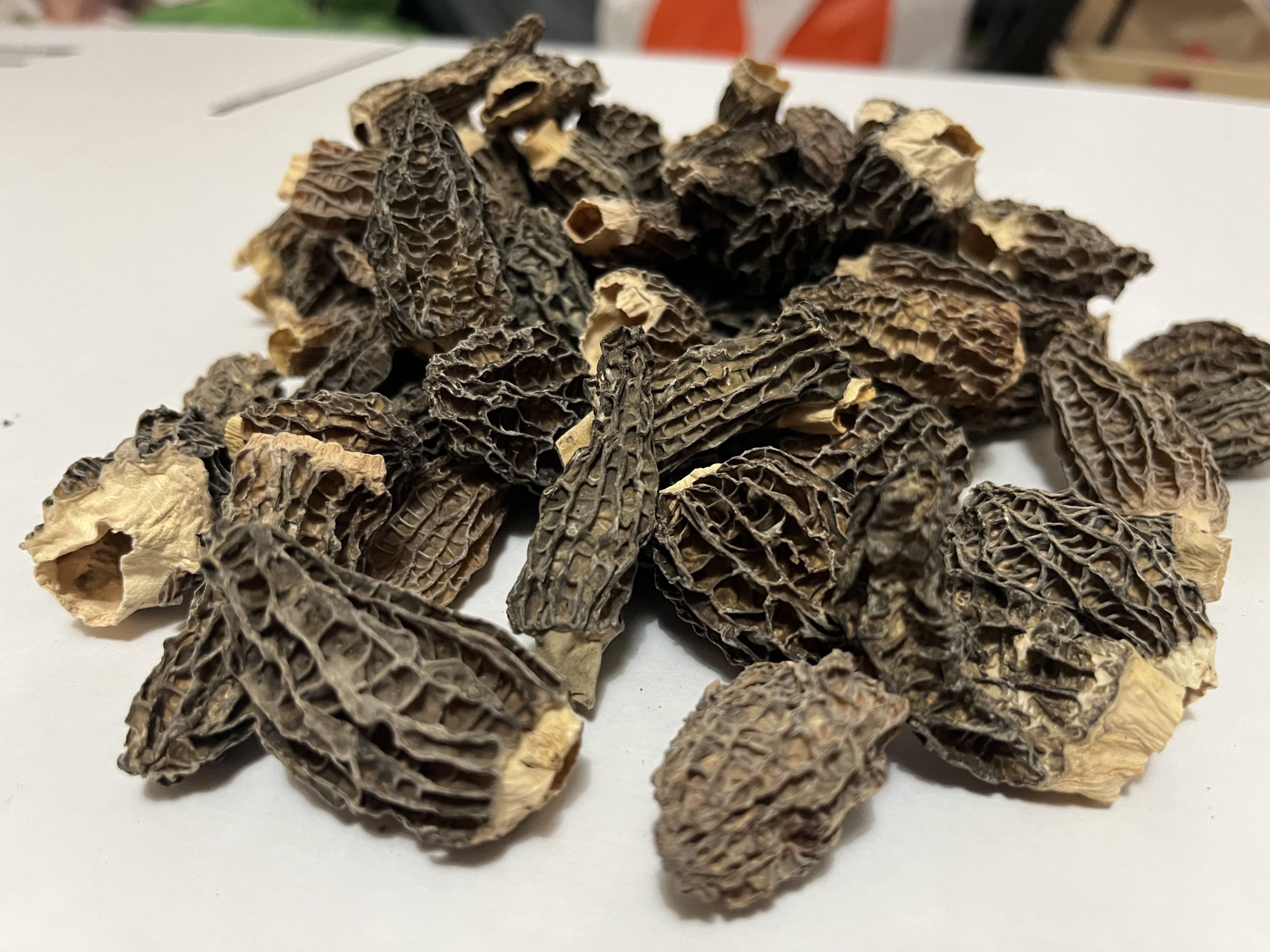 Morilles s&eacute;ch&eacute;es